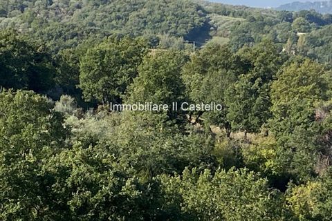 Villa a Paciano, Perugia, Paciano - € 23.000 | Ref: TE70-474882 - foto 11
