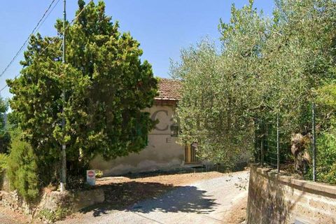 Villa en Panicale, Perugia, Panicale - € 68.000 | Ref: Ci218-475302 - photo 3