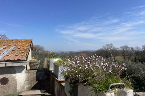 Villa a Orvieto, Terni, Orvieto - € 280.000 | Ref: OR6206M-475406 - foto 11