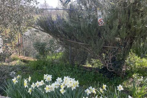 Villa a Orvieto, Terni, Orvieto - € 280.000 | Ref: OR6206M-475406 - foto 13