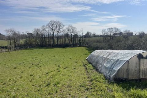 Villa a Orvieto, Terni, Orvieto - € 280.000 | Ref: OR6206M-475406 - foto 14