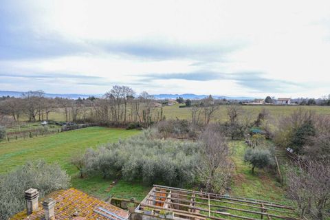 Villa a Orvieto, Terni, Orvieto - € 280.000 | Ref: OR6206M-475406 - foto 24