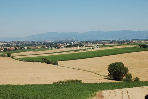 Villa a Paciano, Perugia, Paciano - € 62.000 | Ref: TE76-475828 - foto 4