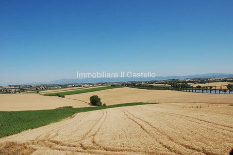 Villa a Paciano, Perugia, Paciano - € 62.000 | Ref: TE76-475828 - foto 5