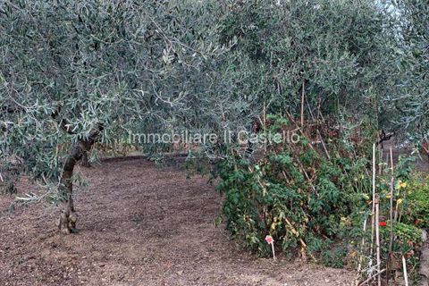 Villa a Corciano, Perugia, Corciano - € 78.000 | Ref: TE89-476151 - foto 3