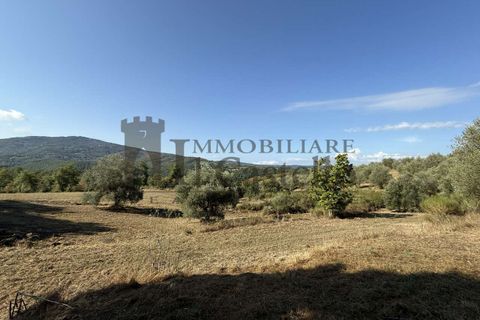 Farm hus i Piegaro, Perugia, Piegaro - € 375.000 | Ref: CR74-477981 - foto 20