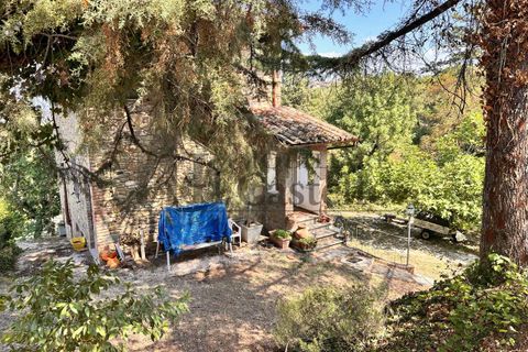 Farm hus i Panicale, Perugia, Panicale - € 249.000 | Ref: CR184-478153 - foto 14