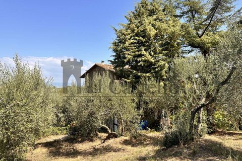 Farm hus i Panicale, Perugia, Panicale - € 249.000 | Ref: CR184-478153 - foto 17