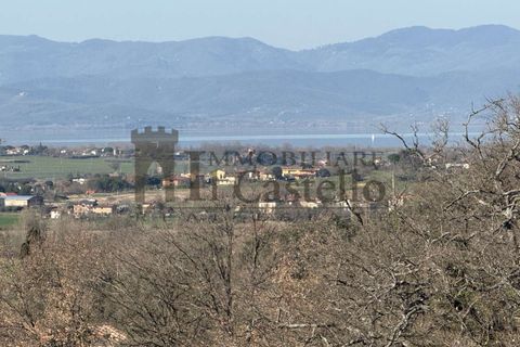 Farm hus i Panicale, Perugia, Panicale - € 249.000 | Ref: CR184-478153 - foto 18