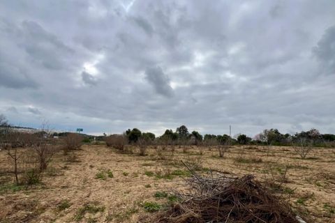 Tomt i Perafort, Tarragona, Perafort - € 19 000 | Ref: EXP09475/8930 - foto 4