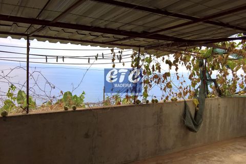 Byhus i Calheta, Madeira, Calheta - € 240.000 | Ref: etcalbertoR - foto 22