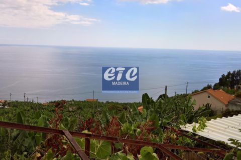 Byhus i Calheta, Madeira, Calheta - € 240.000 | Ref: etcalbertoR - foto 18