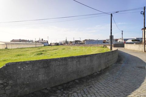 Tomt i Terroso, Porto, Terroso - € 475 000 | Ref: 1003/24502 - foto 3