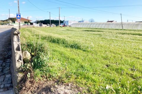 Tomt i Terroso, Porto, Terroso - € 475 000 | Ref: 1003/24502 - foto 5