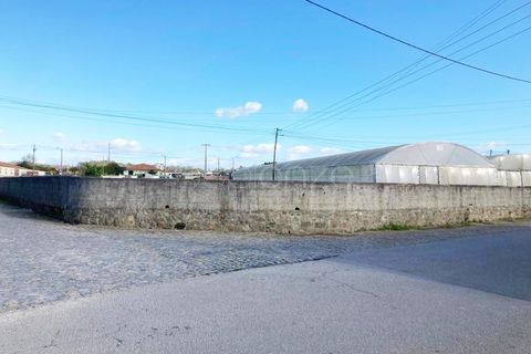 Tomt i Terroso, Porto, Terroso - € 475 000 | Ref: 1003/24502 - foto 9