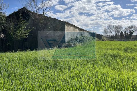 Helårsgrund i Noto, Siracusa, Noto - € 190.000 | Ref: NT TCAM 28 - foto 2