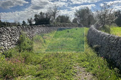 Helårsgrund i Noto, Siracusa, Noto - € 190.000 | Ref: NT TCAM 28 - foto 6