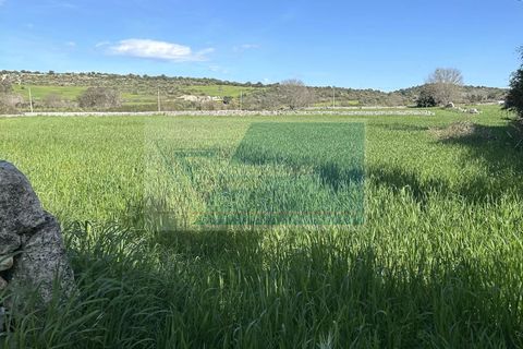 Helårsgrund i Noto, Siracusa, Noto - € 190.000 | Ref: NT TCAM 28 - foto 8