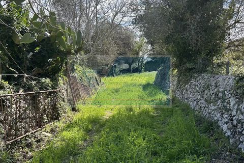 Helårsgrund i Noto, Siracusa, Noto - € 190.000 | Ref: NT TCAM 28 - foto 9