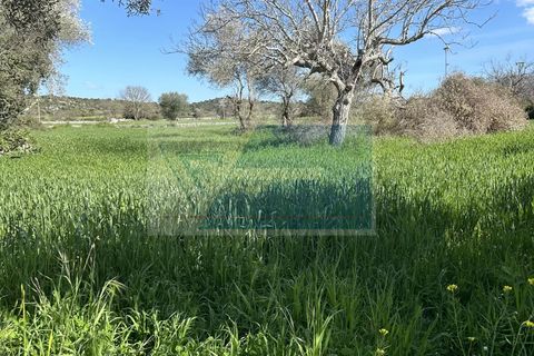 Helårsgrund i Noto, Siracusa, Noto - € 190.000 | Ref: NT TCAM 28 - foto 11
