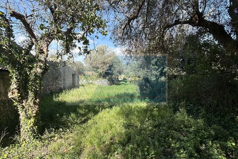 Helårsgrund i Noto, Siracusa, Noto - € 190.000 | Ref: NT TCAM 28 - foto 13