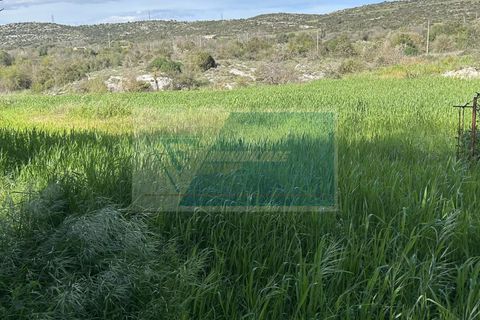 Helårsgrund i Noto, Siracusa, Noto - € 190.000 | Ref: NT TCAM 28 - foto 14