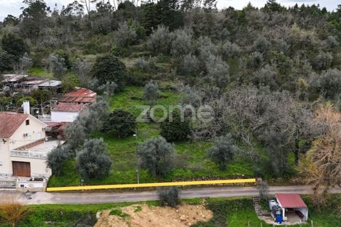 Helårsgrund i Assafarge e Antanhol, Coimbra, Assafarge e Antanhol - € 89.000 | Ref: ZMPT574300 - foto 5