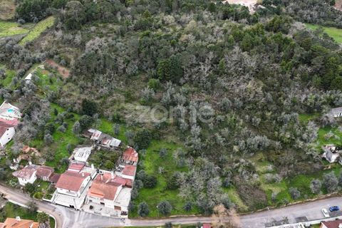 Helårsgrund i Assafarge e Antanhol, Coimbra, Assafarge e Antanhol - € 89.000 | Ref: ZMPT574300 - foto 7