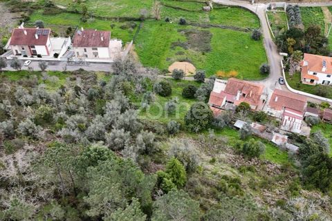 Helårsgrund i Assafarge e Antanhol, Coimbra, Assafarge e Antanhol - € 89.000 | Ref: ZMPT574300 - foto 9