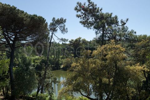 Villa i Alcabideche, Lisbon, Alcabideche - € 15.000.000 | Ref: CAS_79 - foto 5