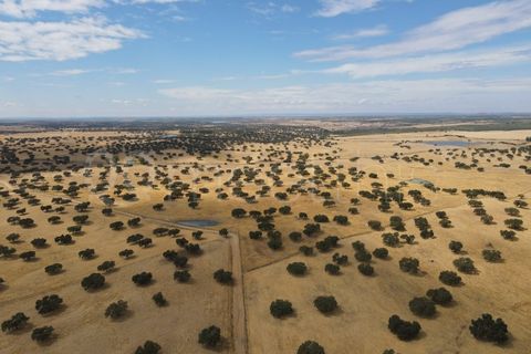 Landejendom i Serpa, Beja, Serpa - € 4.000.000 | Ref: EXP_126 - foto 2