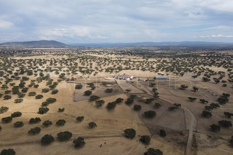 Landejendom i Serpa, Beja, Serpa - € 4.000.000 | Ref: EXP_126 - foto 6