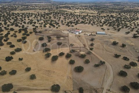 Landejendom i Serpa, Beja, Serpa - € 4.000.000 | Ref: EXP_126 - foto 24