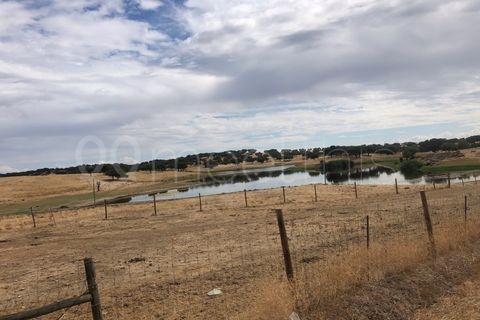 Landejendom i Serpa, Beja, Serpa - € 4.000.000 | Ref: EXP_126 - foto 30
