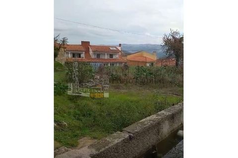 Farm i Tarouca, Viseu, Tarouca - € 250.000 | Ref: PC_11344 - foto 5