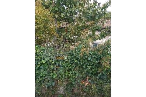 Farm i Tarouca, Viseu, Tarouca - € 250.000 | Ref: PC_11344 - foto 6