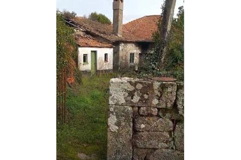 Farm i Tarouca, Viseu, Tarouca - € 250.000 | Ref: PC_11344 - foto 9