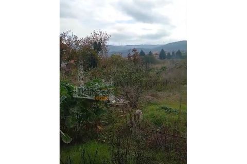 Farm i Tarouca, Viseu, Tarouca - € 250.000 | Ref: PC_11344 - foto 10