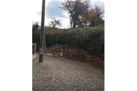 Farm i Tarouca, Viseu, Tarouca - € 250.000 | Ref: PC_11344 - foto 13