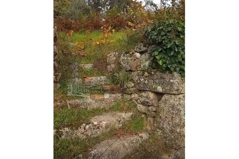 Farm i Tarouca, Viseu, Tarouca - € 250.000 | Ref: PC_11344 - foto 14