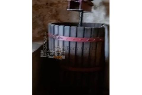 Farm i Tarouca, Viseu, Tarouca - € 250.000 | Ref: PC_11344 - foto 17