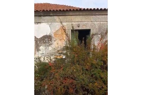 Farm i Tarouca, Viseu, Tarouca - € 250.000 | Ref: PC_11344 - foto 19