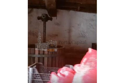 Farm i Tarouca, Viseu, Tarouca - € 250.000 | Ref: PC_11344 - foto 21