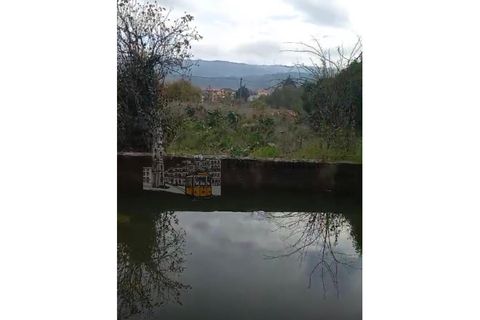 Farm i Tarouca, Viseu, Tarouca - € 250.000 | Ref: PC_11344 - foto 26