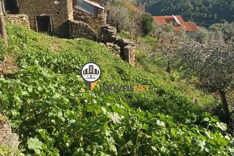 Villa i Castelo Branco, Castelo Branco, Castelo Branco - € 16.500 | Ref: 2657 - foto 8