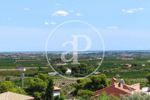 Villa a Picassent, Valencia, Picassent - € 850.000 | Ref: VV2503058 - foto 39
