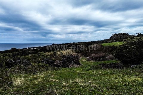 Helårsgrund i Lajes do Pico, Pico, Lajes do Pico - € 198.000 | Ref: 374250046 - foto 2