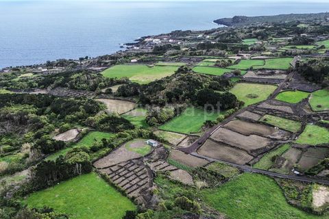 Helårsgrund i Lajes do Pico, Pico, Lajes do Pico - € 198.000 | Ref: 374250046 - foto 3