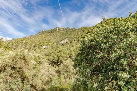 Villa a Competa, Malaga, Competa - € 200.000 | Ref: CP720 - foto 19