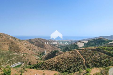 Landejendom i Itrabo, Granada, Itrabo - € 1.295.000 | Ref: 2166A - foto 7